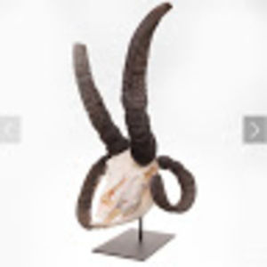 Meet your Posher, Kyla